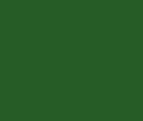 Color / 265C26 / Rolex Green :: COLOURlovers